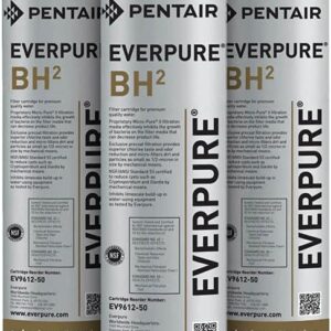 entair Everpure BH2 Replacement Cartridges